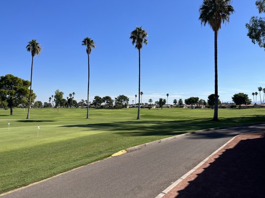 Sun City Country Club by null