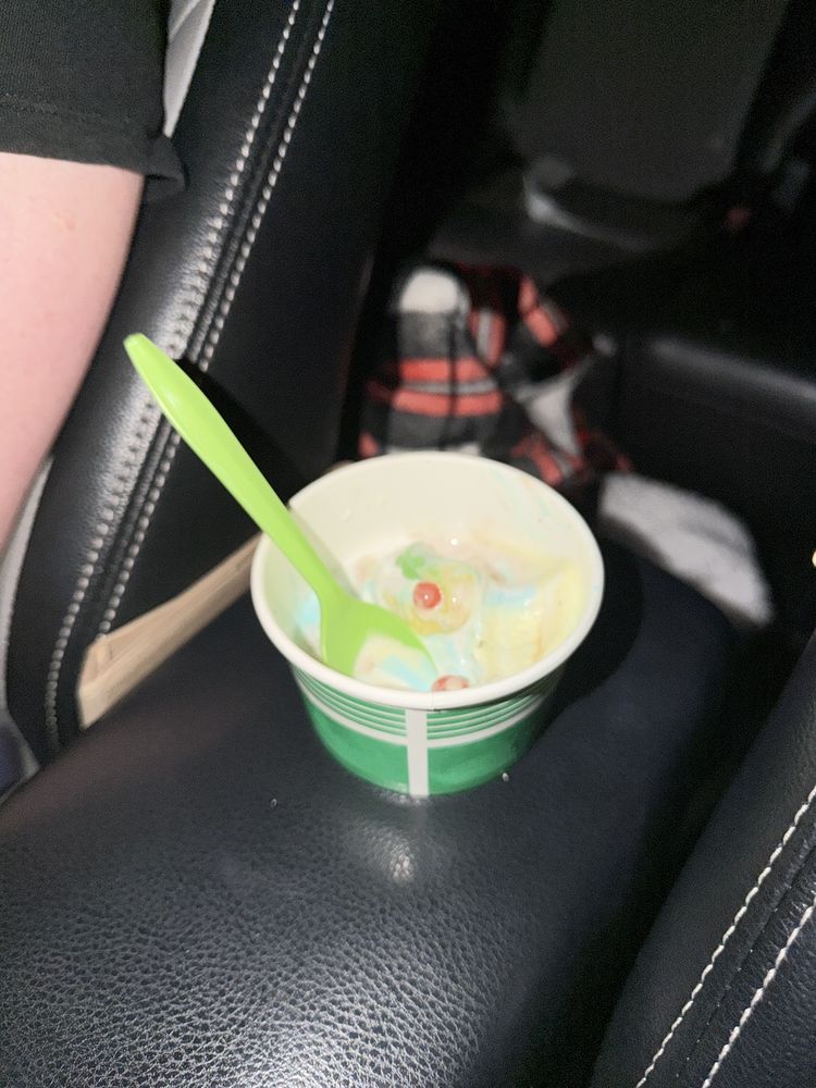 Yogurt Mountain Logo