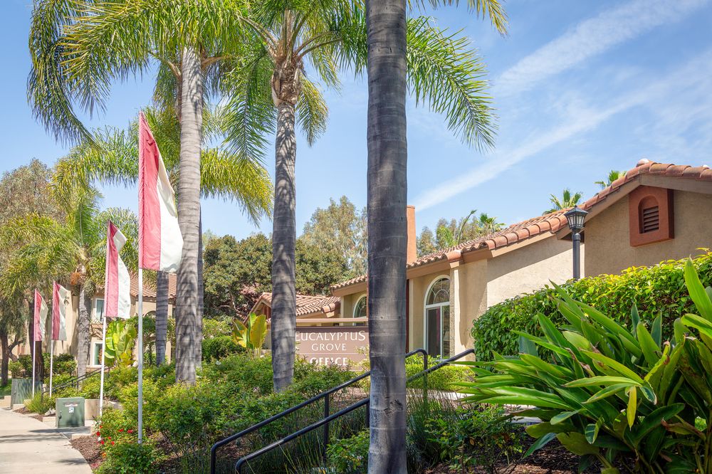 EUCALYPTUS GROVE APARTMENTS 58 Photos & 117 Reviews Apartments 67
