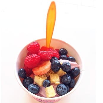 Delicious Yogurt - Ice Cream & Frozen Yogurt Near Me - Roslindale, Massachusetts Delicious Yogurt - Ice Cream & Frozen Yogurt Near Me - Roslindale, Massachusetts