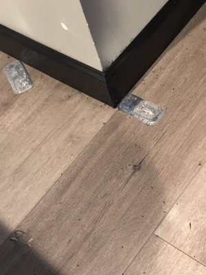 Redi National Pest Eliminators