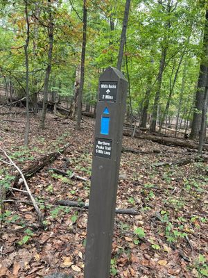 Sugarloaf Mountain by null