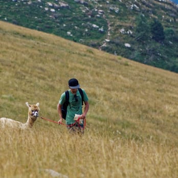 Monte Baldo - what an animal - Hiking Near Me