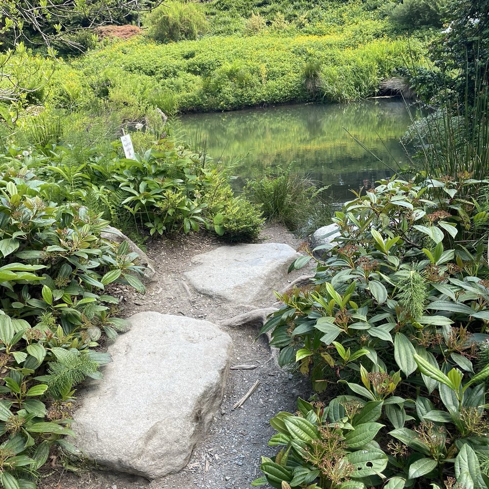 Kubota Garden - Pond and pagoda - Botanical Gardens Near Me - Seattle, Washington Kubota Garden - Pond and pagoda - Botanical Gardens Near Me - Seattle, Washington