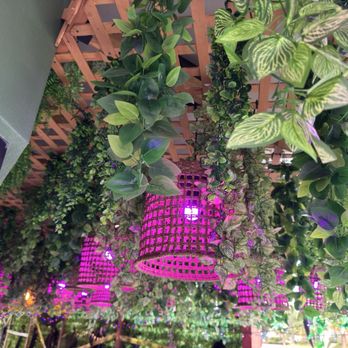 Nueva Cantina - Palm Harbor - Mexican Near Me - Palm Harbor, Florida