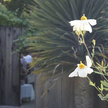 Loma Vista Gardens - Magical shot of the grand front entrance! - Venues & Event Spaces Near Me - Big Sur, California