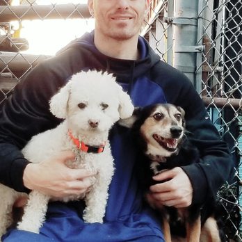 Planet Canine - no dog too big or small - Pet Boarding Near Me - San Rafael, California Planet Canine - no dog too big or small - Pet Boarding Near Me - San Rafael, California