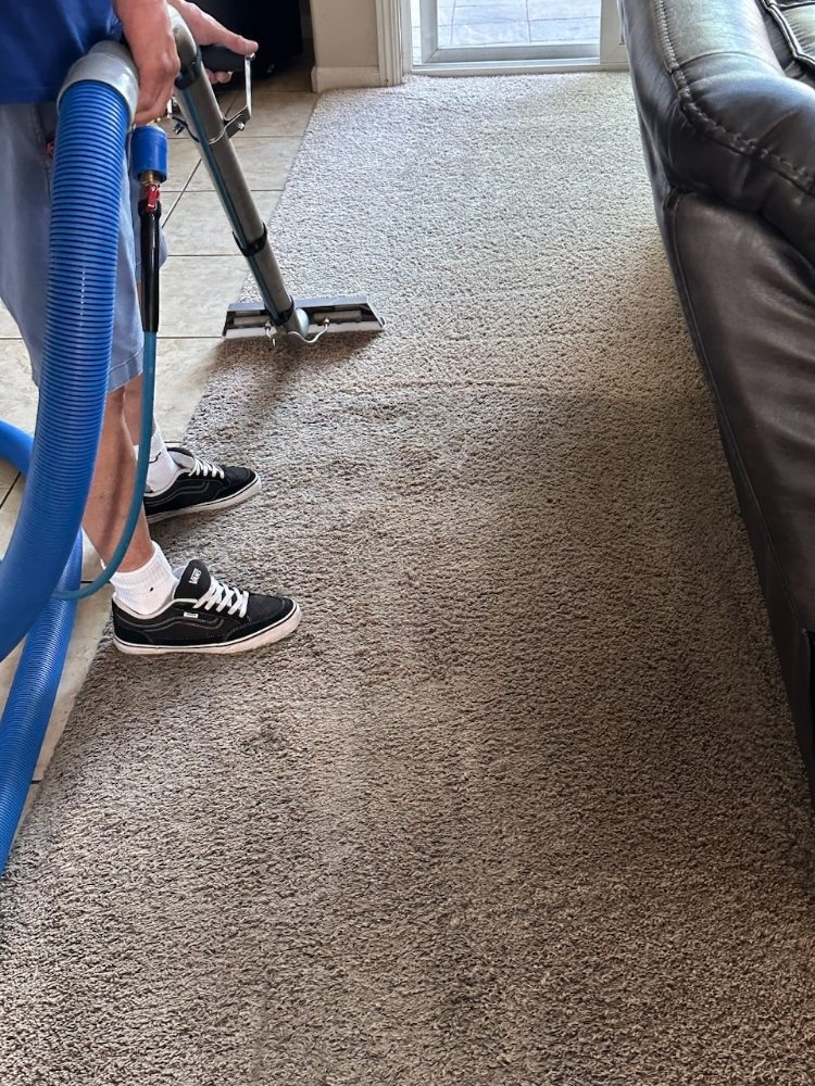 FIRST CLASS CARPET CARE 11 Photos Folsom, California Carpet