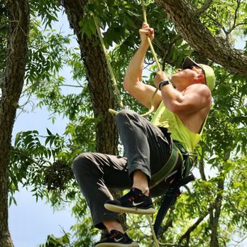 Forged Tree Service - Tree Services Near Me Forged Tree Service - Tree Services Near Me