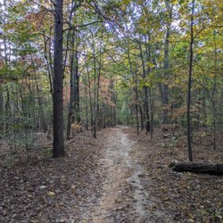 Sherman Branch Trails - Sherman Branch Trails, Charlotte