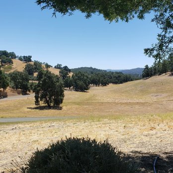 Whalebone Vineyard - View from our Adirondack chairs - Wineries Near Me - Paso Robles, California Whalebone Vineyard - View from our Adirondack chairs - Wineries Near Me - Paso Robles, California