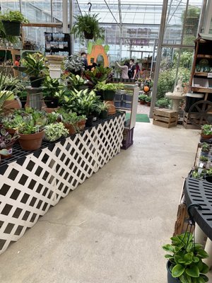 Springdale Farm Market by null