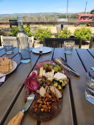 Vega Vineyard and Farm by null