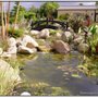 Waterscape Creations