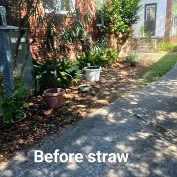 Alan's Lawn Maintenance - Lawn Services Near Me Alan's Lawn Maintenance - Lawn Services Near Me