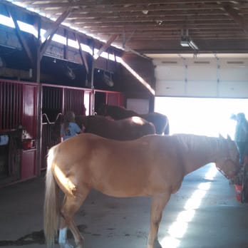 Valley Water Mill Equestrian Center - Grooming time in the stables - Horseback Riding Near Me - Springfield, Missouri Valley Water Mill Equestrian Center - Grooming time in the stables - Horseback Riding Near Me - Springfield, Missouri