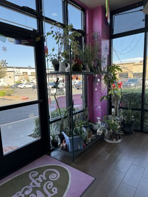 The Cupcakery, Las Vegas by null