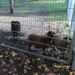 Tierpark Im Stadtpark