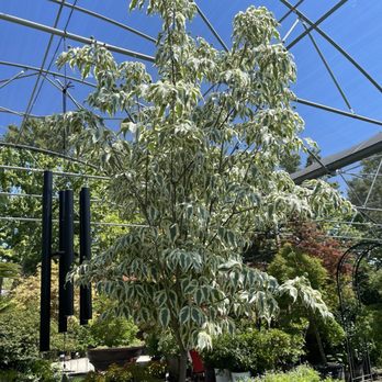 High Hand Nursery - Nurseries & Gardening Near Me - Loomis, California
