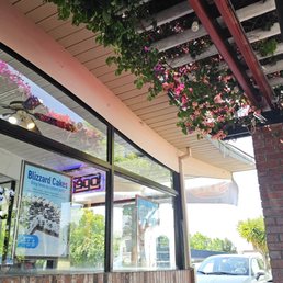 The patio is really nice and shady. The patio is really nice and shady.