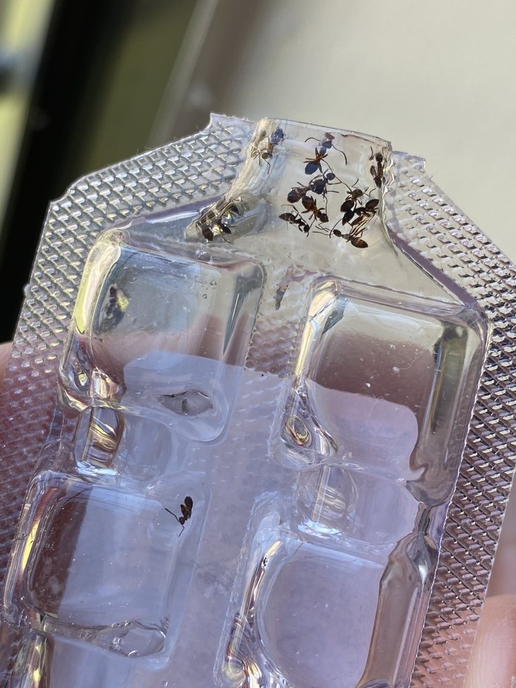 TIMBER POINT APARTMENTS 55 Photos & 21 Reviews 6201 Newberry Rd, Indianapolis, IN Yelp