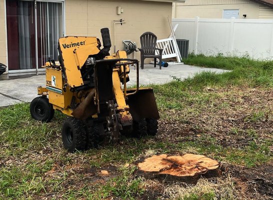 Stump Grinding Services - From start to finish we do it right the first time. Call today for free estimates Stump Grinding Services - From start to finish we do it right the first time. Call today for free estimates