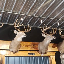 Wolff's Grill and Bar - Bar