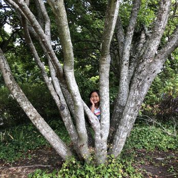 Aubrey Davis Park - Parks Near Me - Mercer Island, Washington