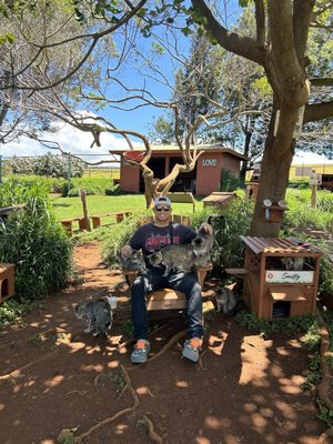 Lānaʻi Cat Sanctuary by null