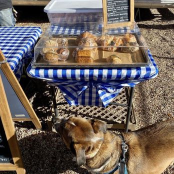 Texas French Bread - Bakeries Near Me - Austin, Texas