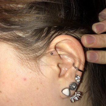 Steady Tattoo and Body Piercing - Forward helix was pierced by Selina - Piercing Near Me - Minneapolis, Minnesota Steady Tattoo and Body Piercing - Forward helix was pierced by Selina - Piercing Near Me - Minneapolis, Minnesota