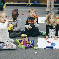 Little Blossom Montessori School