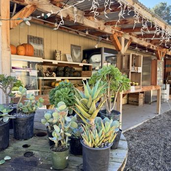 Dare 2 Dream Farms - Do-It-Yourself Food Near Me - Lompoc, California