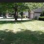Photo of 9-Toe Mow & Lawn Care