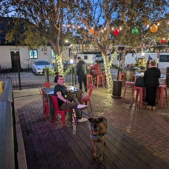 DJ's Clam Shack - Pup waiting for me :) - Seafood Near Me - St. Augustine, Florida