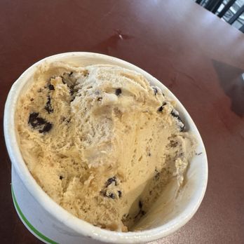 Blue Palmetto Cafe - Graham cracker and chocolate waffle cone ice cream - Cafes Near Me - Lake Wales, Florida Blue Palmetto Cafe - Graham cracker and chocolate waffle cone ice cream - Cafes Near Me - Lake Wales, Florida