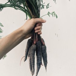 LINC Foods - Organic Purple Carrots