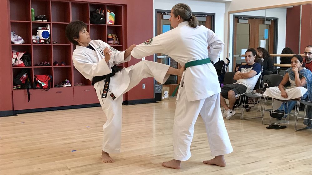 Okinawa Karate and Cultural Center Logo