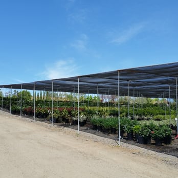 Briggs Nursery & Tree - Nurseries & Gardening Near Me - Vista, California