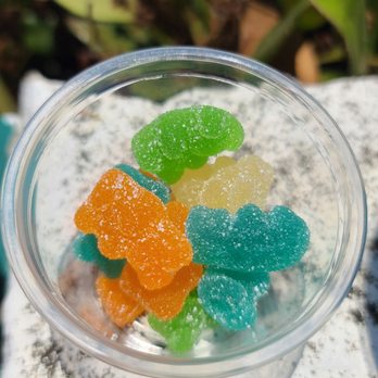 7-Eleven - Free Gummy Bears sample on 07-11-2023 - Convenience Stores Near Me - Redondo Beach, California 7-Eleven - Free Gummy Bears sample on 07-11-2023 - Convenience Stores Near Me - Redondo Beach, California