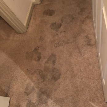 Carpet Savers Carpet Cleaning - Carpet Cleaning Near Me - Van Nuys, California Carpet Savers Carpet Cleaning - Carpet Cleaning Near Me - Van Nuys, California