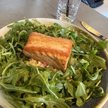 Ficus - Salmon with bulgur - Bubble Tea Near Me - Princeton, New Jersey