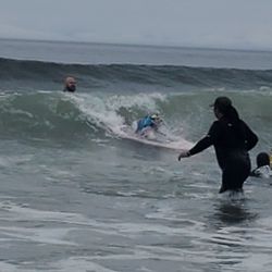 World Dog Surfing Championships - Dog surfing