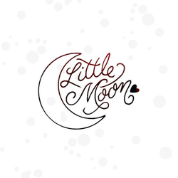 Little Moon Massge & Wellness