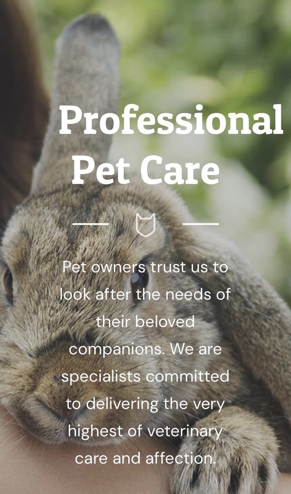 Stone Ridge Veterinary Clinic - pet boarding facility in Riverton, UT