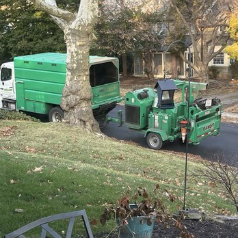 Willow Tree & Landscape Services - Landscaping Near Me - Hatboro, Pennsylvania Willow Tree & Landscape Services - Landscaping Near Me - Hatboro, Pennsylvania