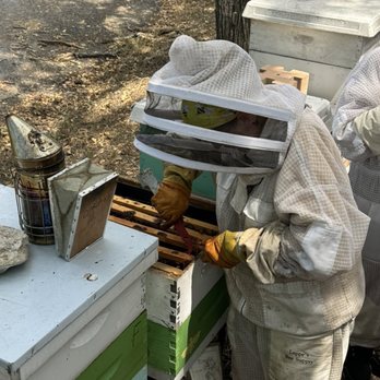 Two Hives Honey - Tours Near Me - Manor, Texas