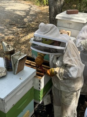 Two Hives Honey by null Two Hives Honey by null