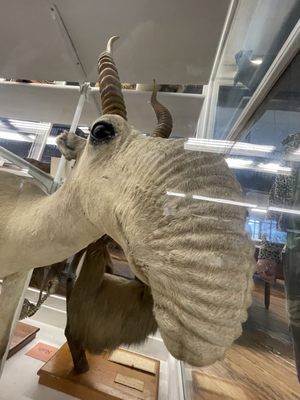 Wagner Free Institute of Science by null