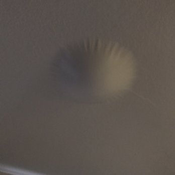 Diamond Hillside - Living room area water bubble from the ceiling - Apartments Near Me - Pittsburg, California